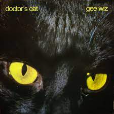 Doctor’s Cat